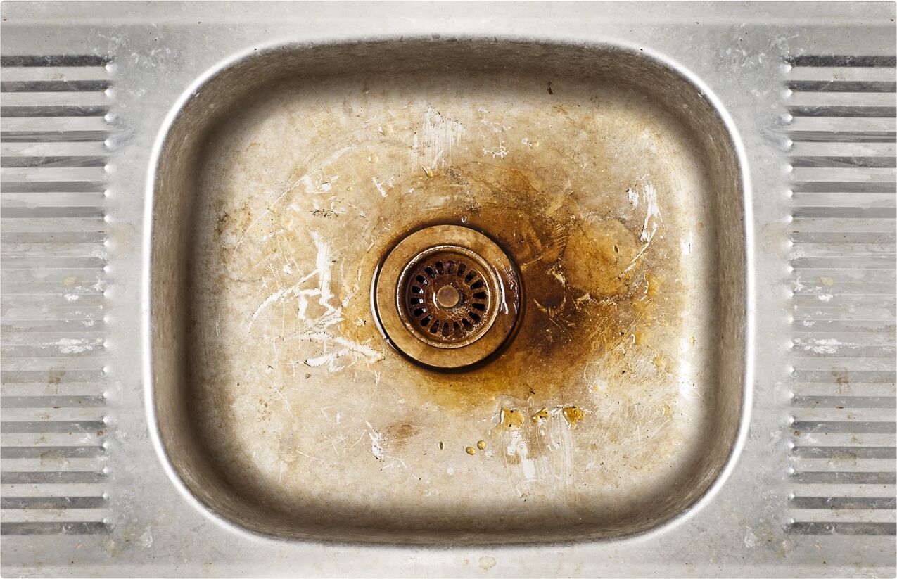 What is Biofilm in Drain Pipes? - Custom Plumbing of Arizona